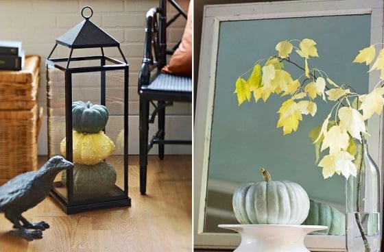 idée-originale-décoration-d'automne-citrouilles-branches-érable