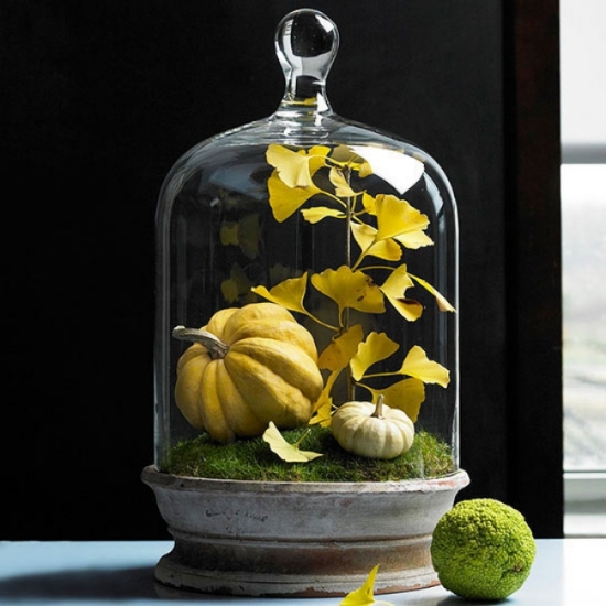 idée-originale-décoration-d'automne-cloche-verre-citrouille