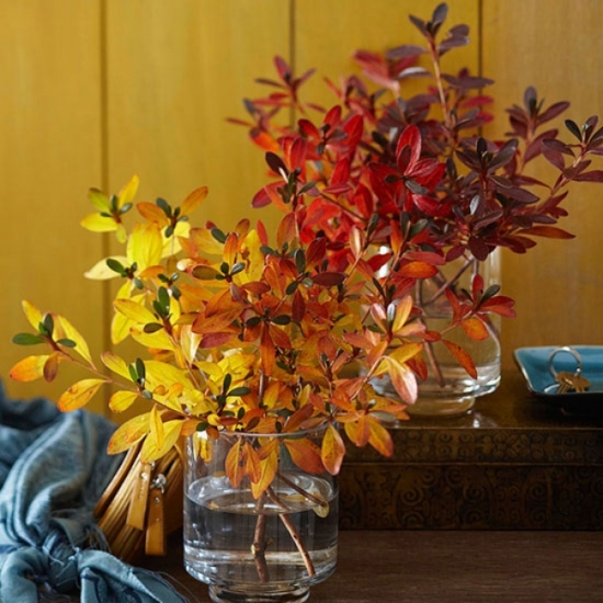 idée-originale décoration d'automne fleurs-automnales-vase-verre