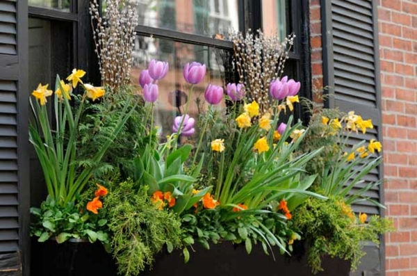 idées de déco pots-fleurs-tulipes-jonquilles