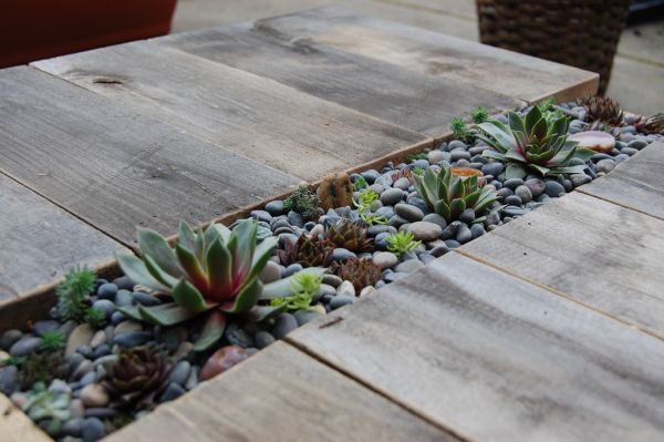 idées de déco table-plantes-succulentes