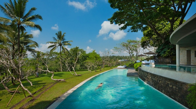 idées piscine de jardin couloir-palmier-végétation
