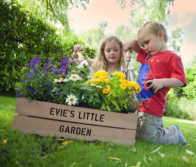 idée-aménagement-jardin-miniature-fleurs-couleurs-vives