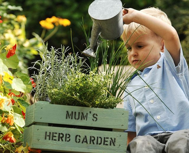 idée-aménagement-jardin-miniature-herbes