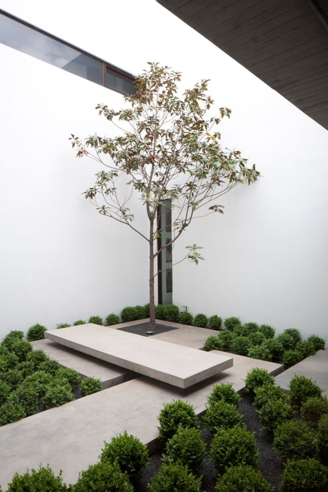 idée-aménagement-mini-jardin-contemporain-minimaliste