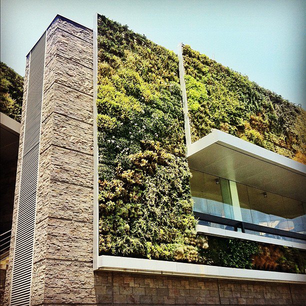 idée aménagement paysager moderne jardin-vertical-façade