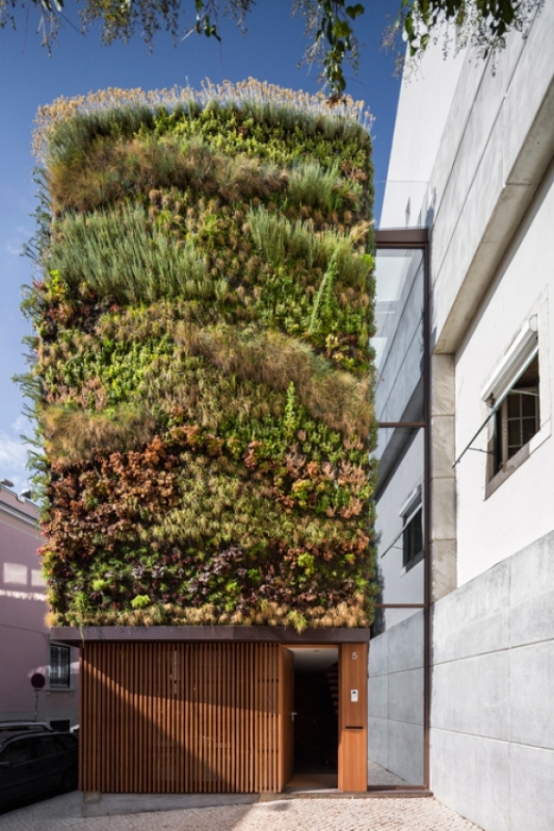 idée aménagement paysager moderne jardin-vertical-imposant