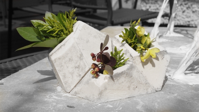 idée-design-moderne-jardin-plantes-vase-béton-blanc