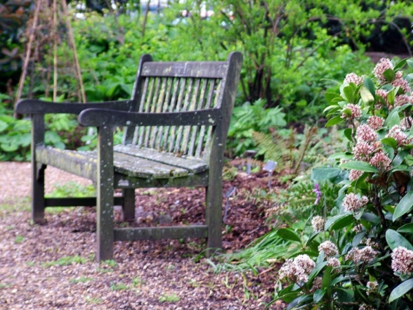 idée-originale-banc-de-jardin-bois-design-classique