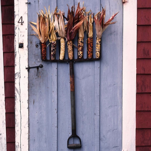 idée-originale-couronne-de-porte-fourche-épi-maïs