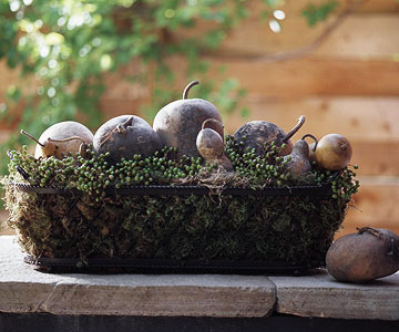 idée-originale-déco-de-table-citrouilles-gourdes-panier