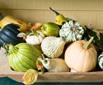 idée-originale-déco-de-table-citrouilles-gourdes