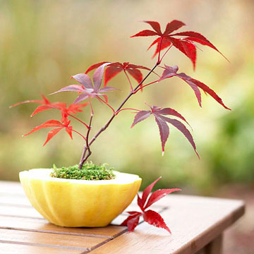 idée-originale-déco-de-table-citrouilles-pot-à-fleurs