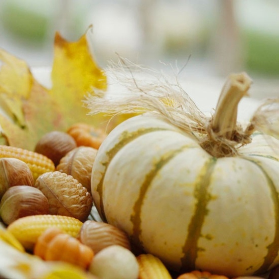 idée-originale-décoration-d'automne-petites-citrouilles-épi-maïs