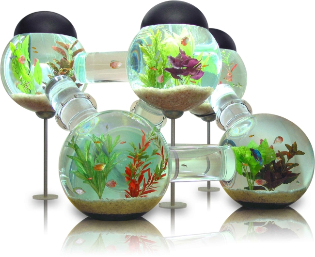 idées-aquarium-salon-design-moderne-bulles-décoratives