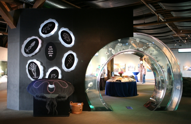 idées-aquarium-salon-design-moderne-forme-intéressante