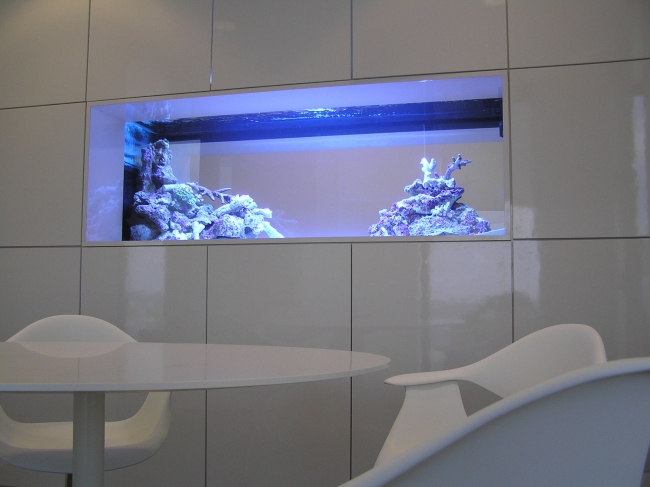 idées-aquarium-salon-design-moderne-intégré-mur