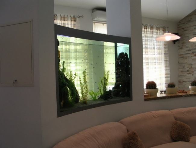 idées-aquarium-salon-design-moderne-intégré-poissons-petits