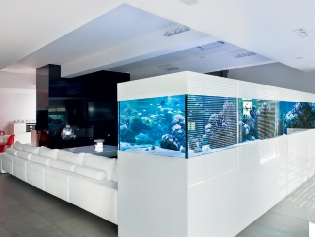idées-aquarium-salon-design-moderne-large-éclairage-bleu
