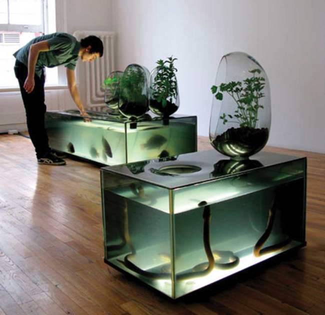 idées-aquarium-salon-design-moderne-projet-anguilles