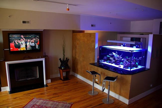 idées-aquarium-salon-design-moderne-éclairage-moderne