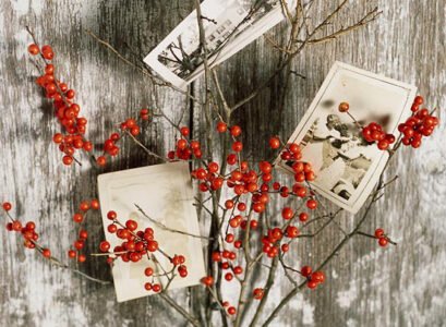 idées-de-déco-automnales-originales-matériaux-naturels-branche-cynorrhodon