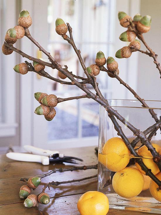 idées-de-déco-automnales-originales-matériaux-naturels-glands-vase-verre