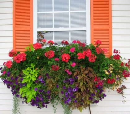 idées-de-déco-pots-fleurs-couleurs-vives