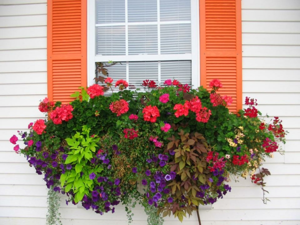 idées-de-déco-pots-fleurs-couleurs-vives