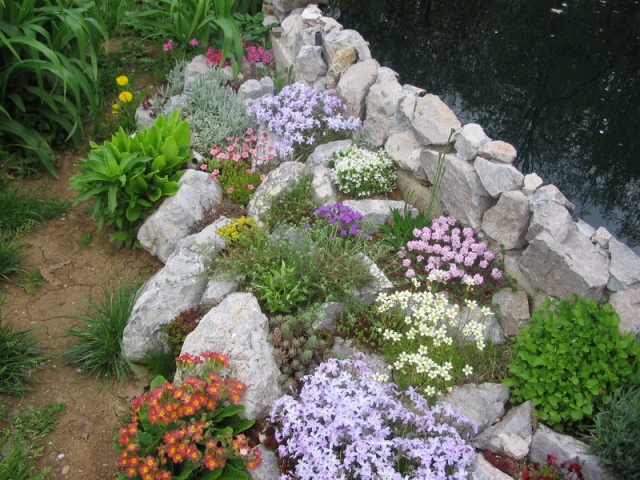jardin de rocaille pierres-plantes-vivaces-couleurs-vives