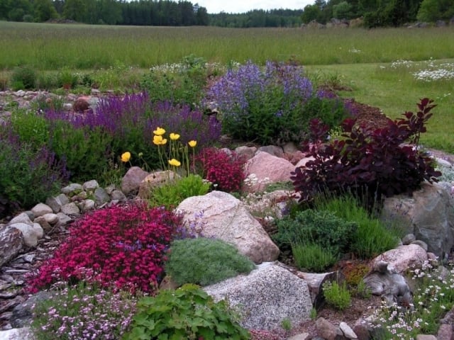jardin de rocaille plantes-vivaces-rochers-herbes