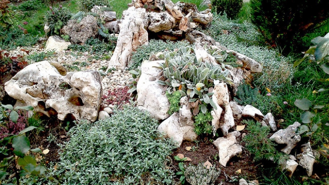 jardin de rocaille rochers-plantes