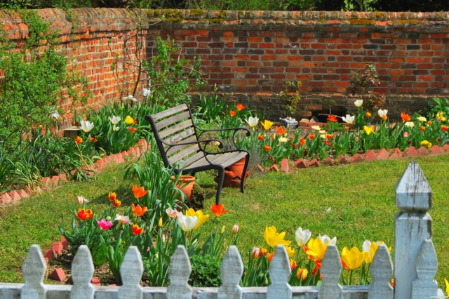 jardin-printemps-aménagement-jardinage-idées-tulipes-clôture-blanche