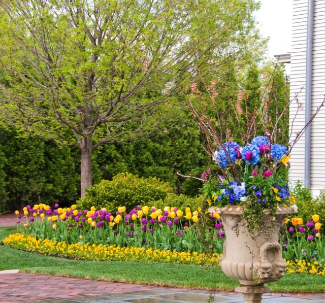 jardin-printemps-aménagement-jardinage-idées-tulipes