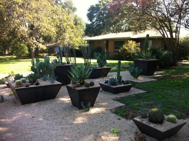 jardin-rocaille-plusieurs-cactus-pots-carrés-coniques