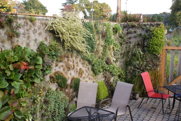 jardin-vertical-paysage-urbain-moderne-mur-plantes Jardin vertical