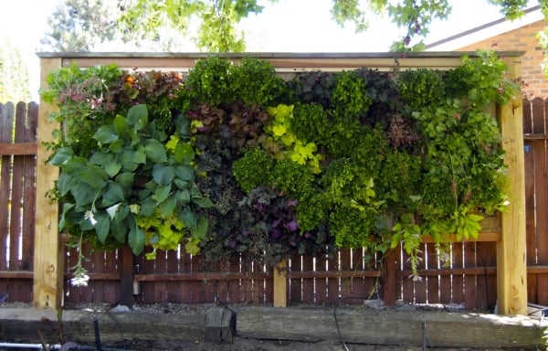 jardin-vertical-paysage-urbain-moderne-mur-végétal