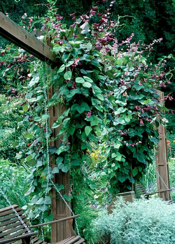jardin-vertical-paysage-urbain-moderne-plantes-grimpantes Jardin vertical