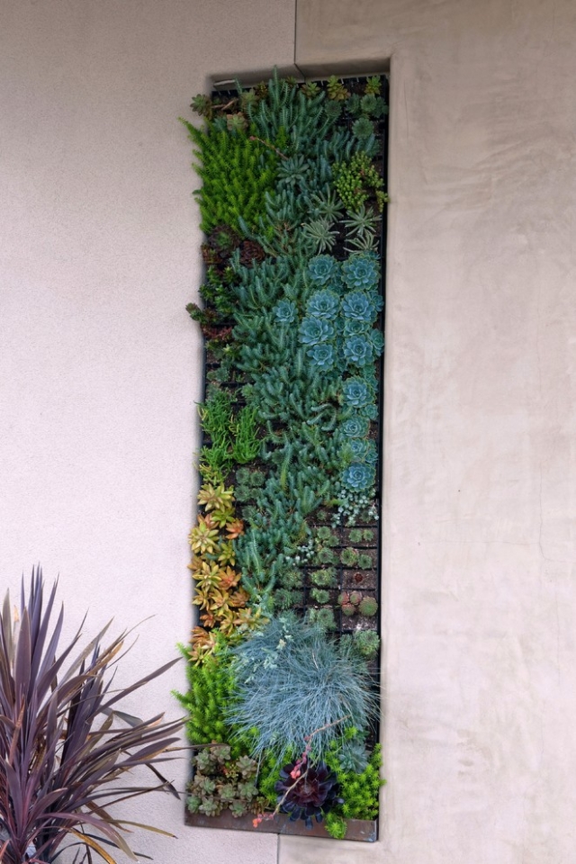 jardin-vertical-plantes-succulentes-alternative-contenants