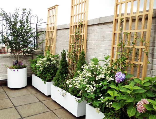 jardinières-blanches-formes-hortensias-plantes-treillis-bois