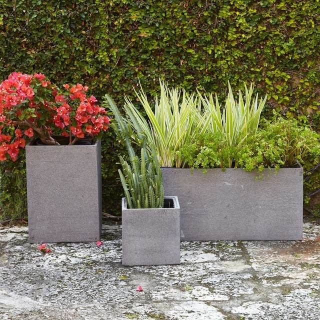 jardinières-béton-gris-modernes-formes-géométriques