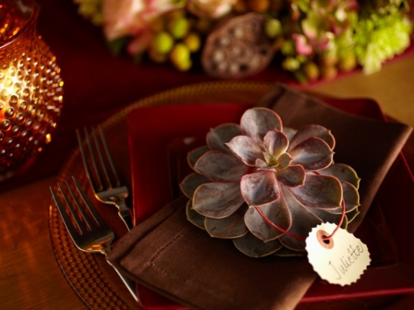 marque-place-table-automne-plante-succulente