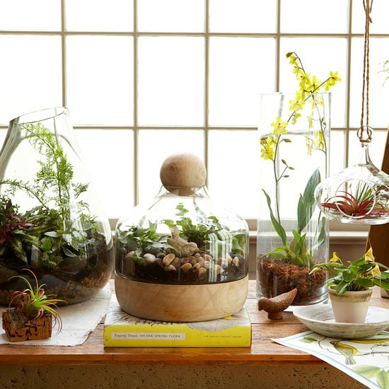 matériaux-naturels-décoration-automnale-domicile-vases-plantes-vertes