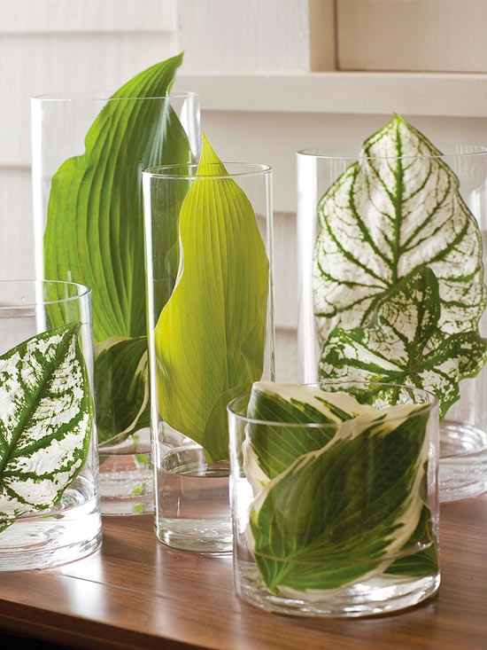 matériaux-naturels-décoration-automnale-domicile-vases-verre-plantes