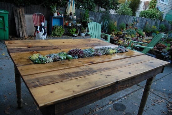 meuble de jardin table-bois-brut-plantes-chaises-vertes