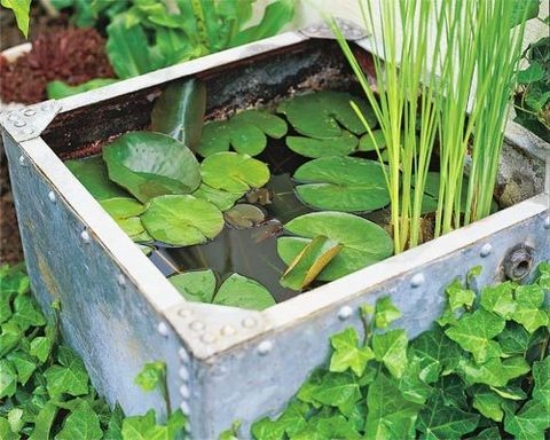 mini bassin récipient-eau-metal-nénuphars-herbes