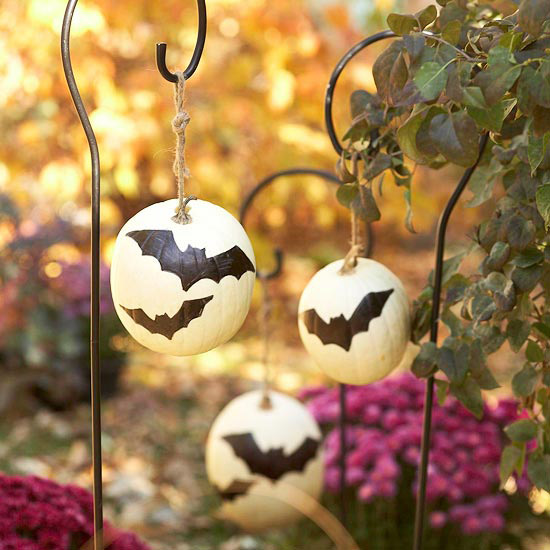 mini-citrouilles-décoratives-chauve-souris-jardin