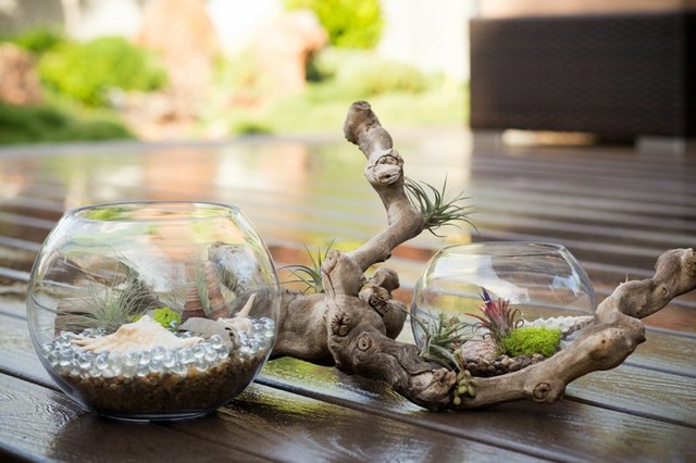 mini-terrarium-succulent-jardin-boule-verre-balcon