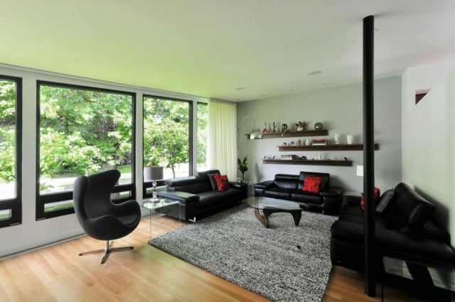 moderne-aménagement-de-salon-meubles-cuir-noir