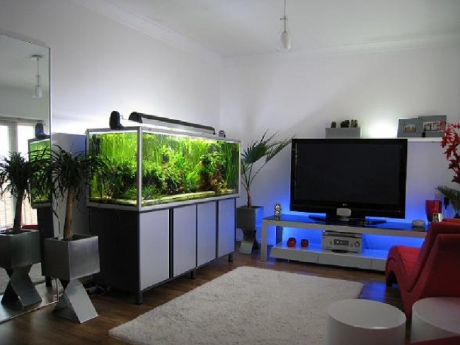 moderne-aquarium-idées-salon-algues